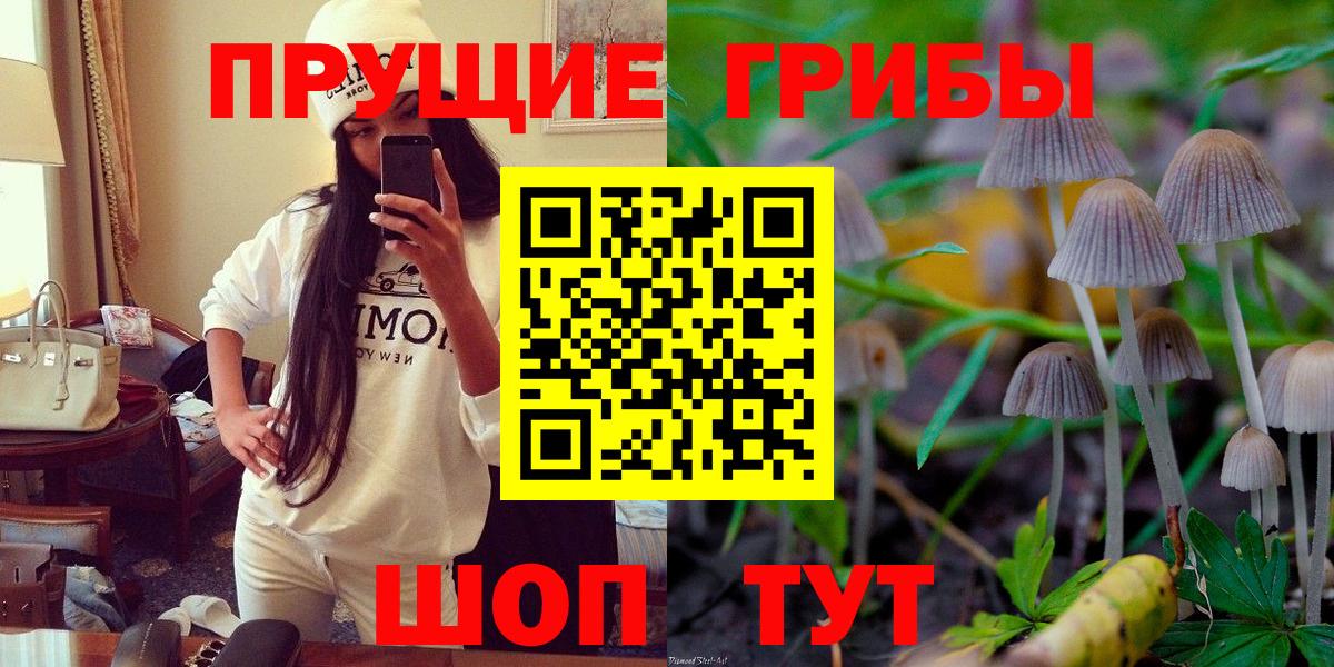 Гудермес  Галлюциногенные грибы мицелий  Вход с VPN  Галлюциногенные грибы MAGIC MUSHROOMS 