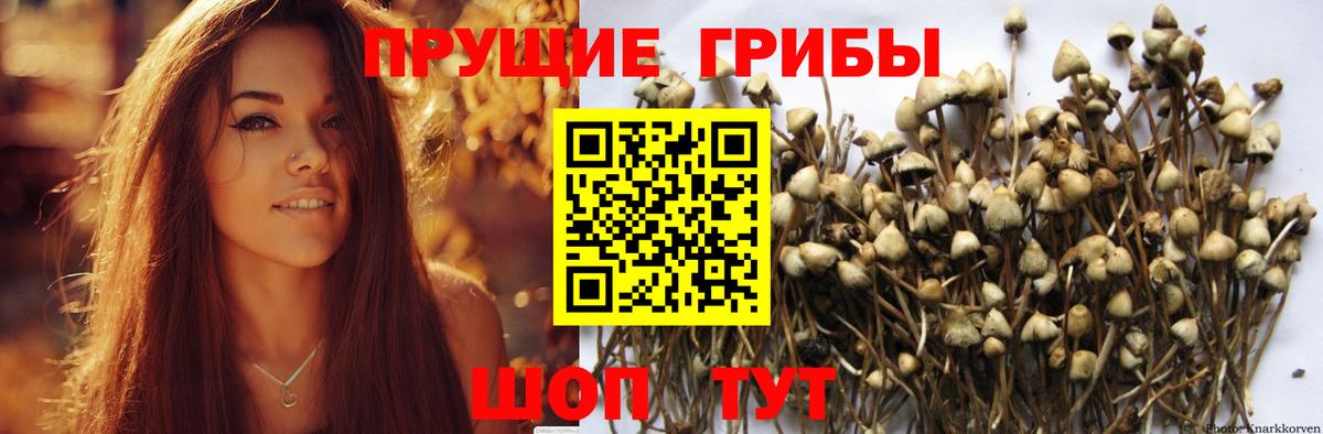 Псилоцибиновые грибы MAGIC MUSHROOMS Гудермес