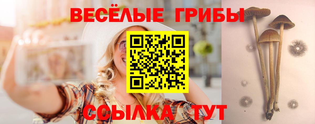 A PVP СК   Конопля  Меф МЯУ МЯУ   Вход с VPN  Гудермес  ГАШИШ 