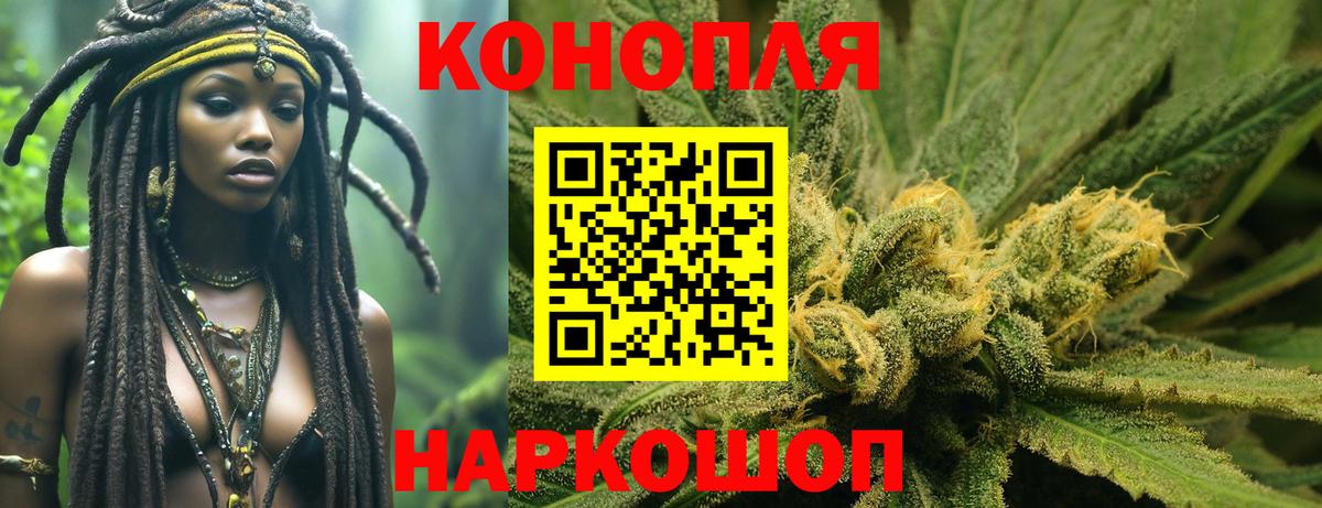 Каннабис план Гудермес